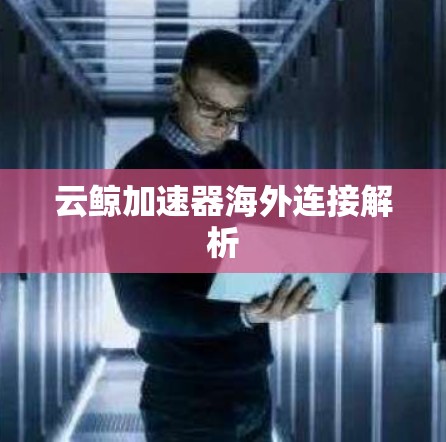 云鲸加速器海外连接解析