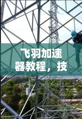 飞羽加速器教程,技术与实践的完美结合