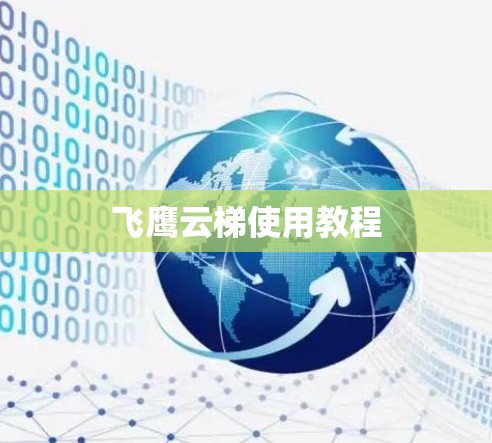 飞鹰云梯使用教程
