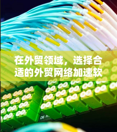 在外贸领域,选择合适的外贸网络加速软件至关重要,因为它可以帮助提升网络效率,减少延迟,从而优化流量和客户体验。以下是对外贸网络加速软件的详细分析和推荐