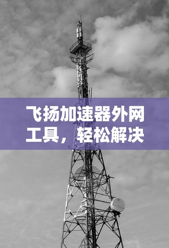 飞扬加速器外网工具,轻松解决外网流量管理