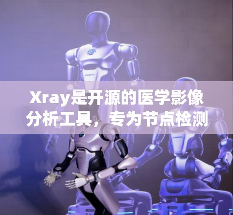 Xray是开源的医学影像分析工具,专为节点检测和病变识别设计。以下是对Xray的详细总结 Xray是开源的医学影像分析工具,专为节点检测和病变识别设计。以下是对Xray的详细总结