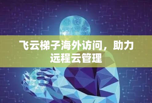 飞云梯子海外访问,助力远程云管理
