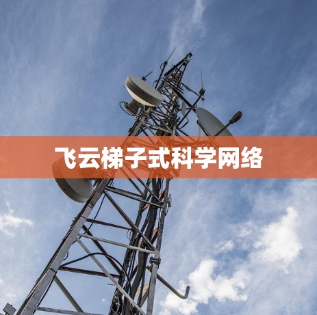 飞云梯子式科学网络