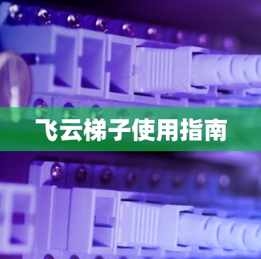 飞云梯子使用指南