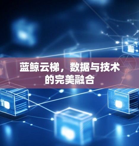 蓝鲸云梯,数据与技术的完美融合
