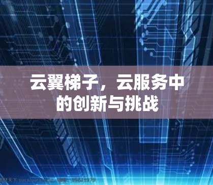 云翼梯子，云服务中的创新与挑战