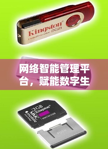 网络智能管理平台,赋能数字生态的智慧之选