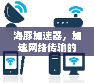 海豚加速器，加速网络传输的未来解决方案