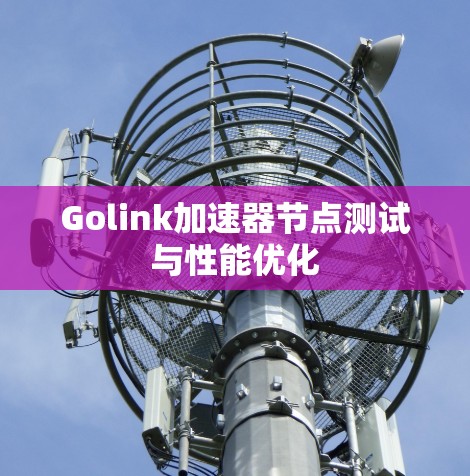 Golink加速器节点测试与性能优化 Golink加速器节点测试与性能优化