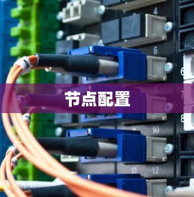 节点配置