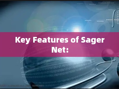Key Features of SagerNet:
