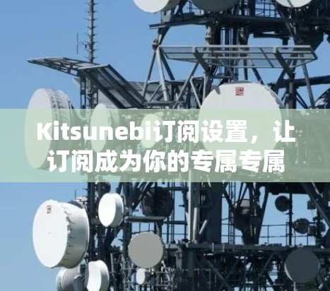 Kitsunebi订阅设置，让订阅成为你的专属专属专属！