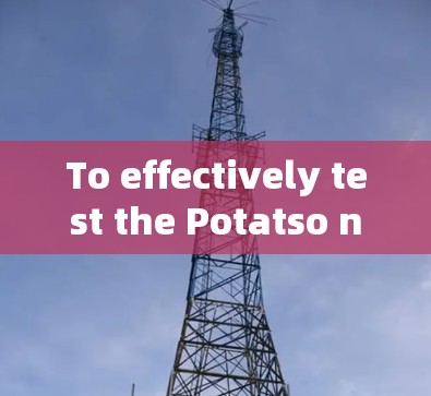 To effectively test the Potatso network,follow this organized approach:
