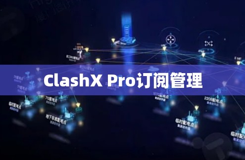 ClashX Pro订阅管理