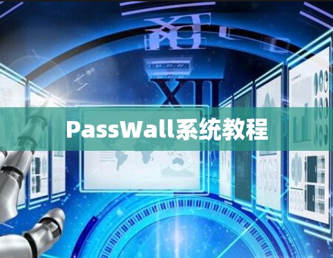 PassWall系统教程