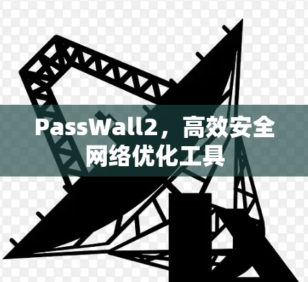 PassWall2,高效安全网络优化工具