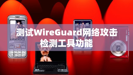 测试WireGuard网络攻击检测工具功能