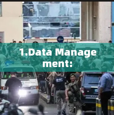 1.Data Management: