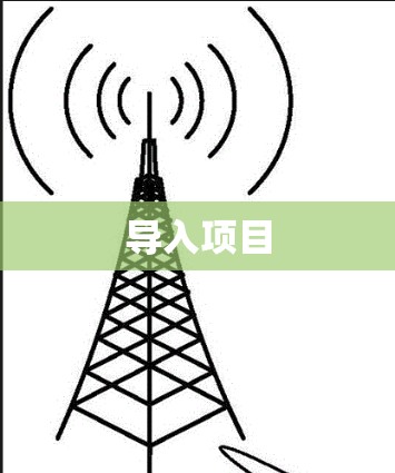 导入项目