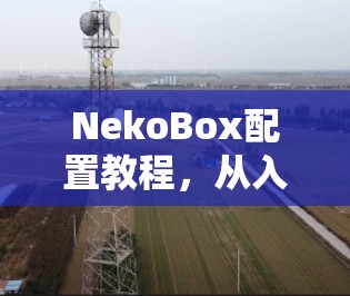 NekoBox配置教程,从入门到高级操作 NekoBox配置教程,从入门到高级操作