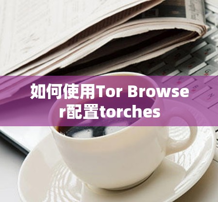 如何使用Tor Browser配置torches