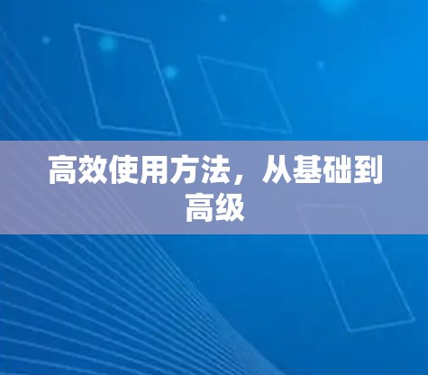 高效使用方法,从基础到高级