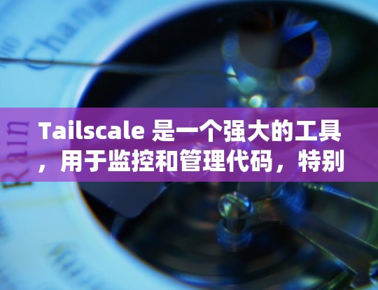 Tailscale 是一个强大的工具,用于监控和管理代码,特别适合开发者用于服务和系统日志监控。以下是使用 Tailscale 的详细步骤