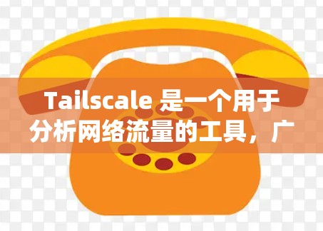 Tailscale 是一个用于分析网络流量的工具，广泛应用于网络分析和质量控制。它支持多种协议，提供了命令、可视化、过滤和统计功能，帮助用户深入分析流量包的特征和分布