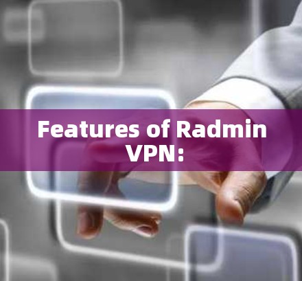 Features of Radmin VPN: