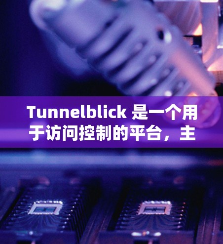 Tunnelblick 是一个用于访问控制的平台，主要功能包括创建访问控制规则、管理访问权限、执行测试和分析测试结果。以下是详细的步骤和建议
