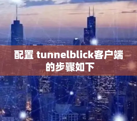 配置 tunnelblick客户端 的步骤如下