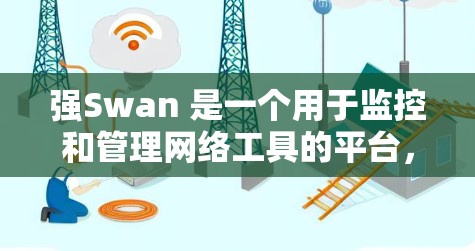 强Swan 是一个用于监控和管理网络工具的平台,适用于需要高可靠性和实时监控的业务环境。以下是关于强Swan 的详细分析
