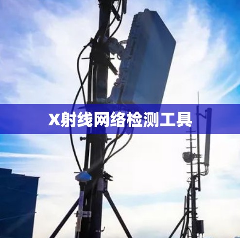 X射线网络检测工具
