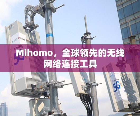 Mihomo，全球领先的无线网络连接工具
