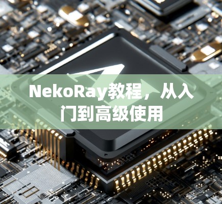 NekoRay教程,从入门到高级使用