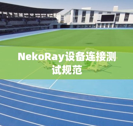 NekoRay设备连接测试规范