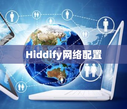 Hiddify网络配置