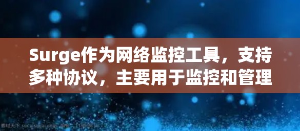 Surge作为网络监控工具,支持多种协议,主要用于监控和管理网络设备和服务。作为节点管理者,需要掌握以下关键步骤