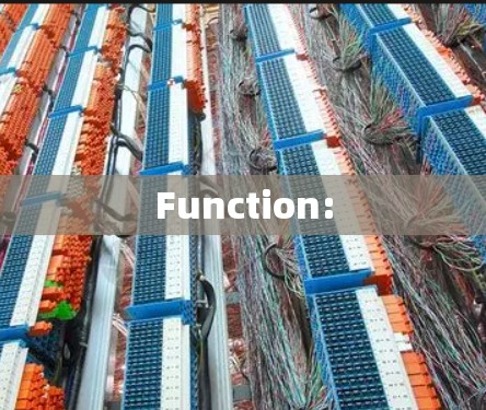 Function: