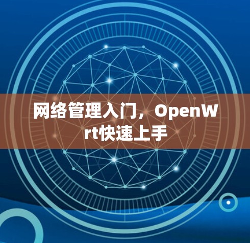 网络管理入门，OpenWrt快速上手