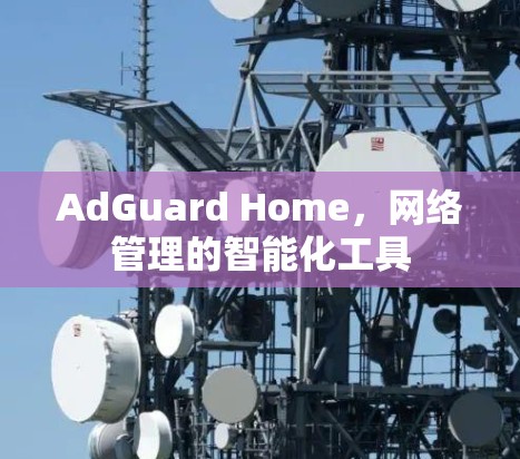AdGuard Home，网络管理的智能化工具