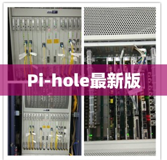 Pi-hole最新版