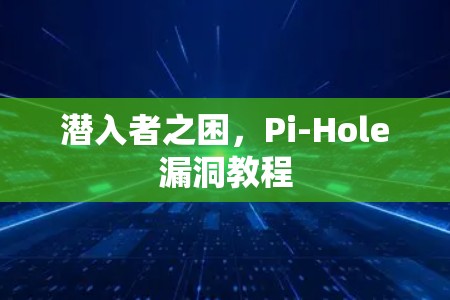 潜入者之困,Pi-Hole漏洞教程