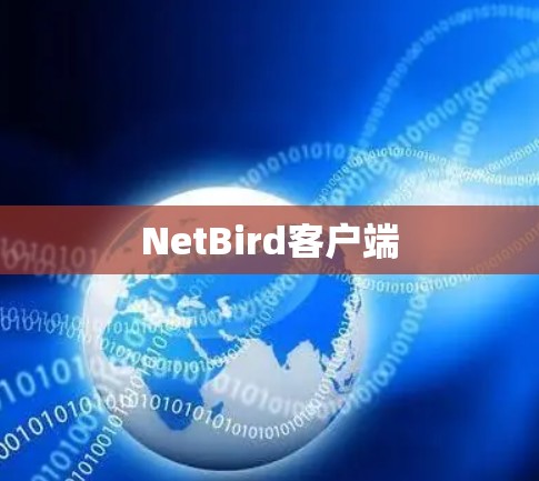 NetBird客户端