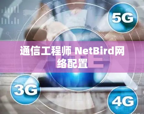 通信工程师 NetBird网络配置
