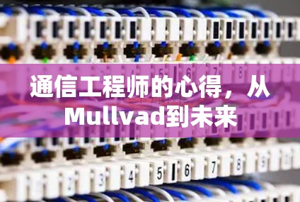 通信工程师的心得,从Mullvad到未来 通信工程师的心得,从Mullvad到未来
