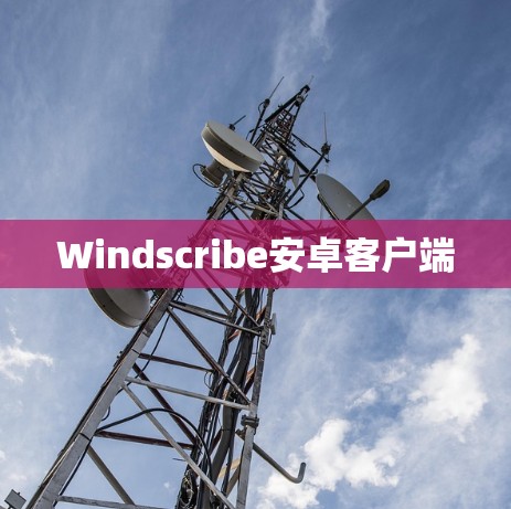 Windscribe安卓客户端