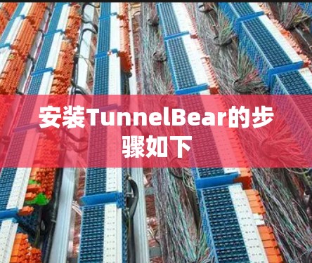 安装TunnelBear的步骤如下