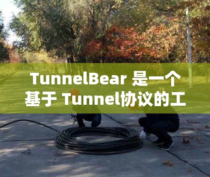 TunnelBear 是一个基于 Tunnel协议的工具，主要用于构建微服务架构和实现多线程通信。以下是详细的使用方法和步骤